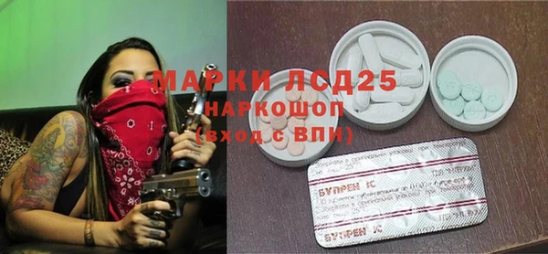 эйфоретик Каменка