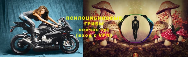 эйфоретик Каменка