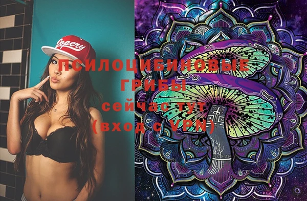 эйфоретик Каменка